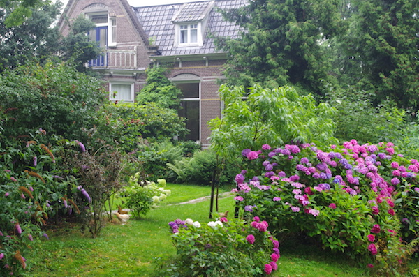 Giethoornの家の庭と庭にいる鶏