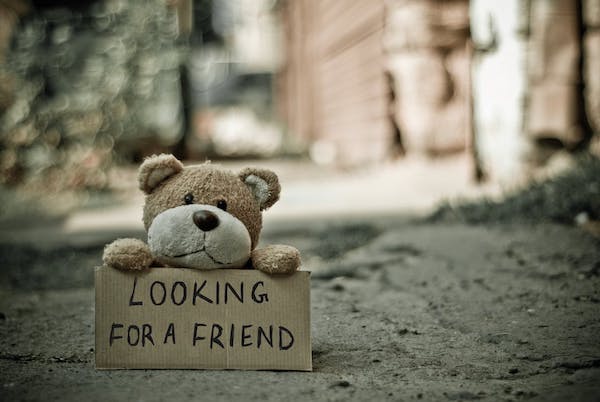 「Looking for a Friends」と書かれた紙を持つ熊のぬいぐるみ