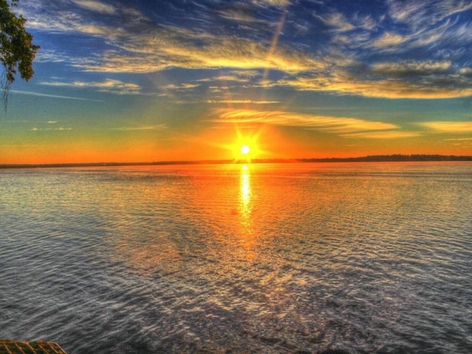 週末の朝は早起き？シドニーで充実した朝を過ごすためのアイデア４つ