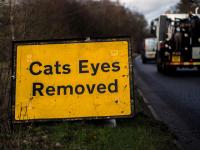 「Cat’s Eyes Removed」の意味とは？動物が入った面白英語表現５選