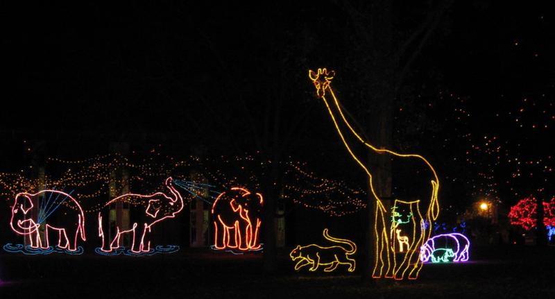 コロラド州デンバーにある動物園の夜のイルミネーションDenver Zoo Loghts
