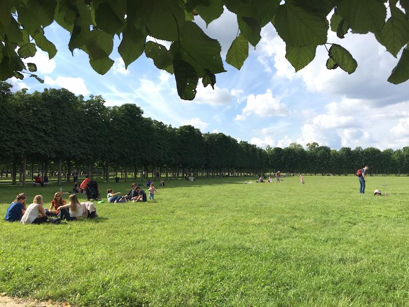 フランス人たちが公園でピクニックを楽しんでいる様子