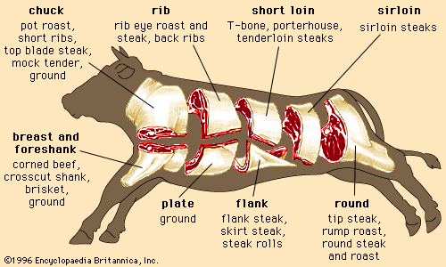 Beef（牛肉）の部位