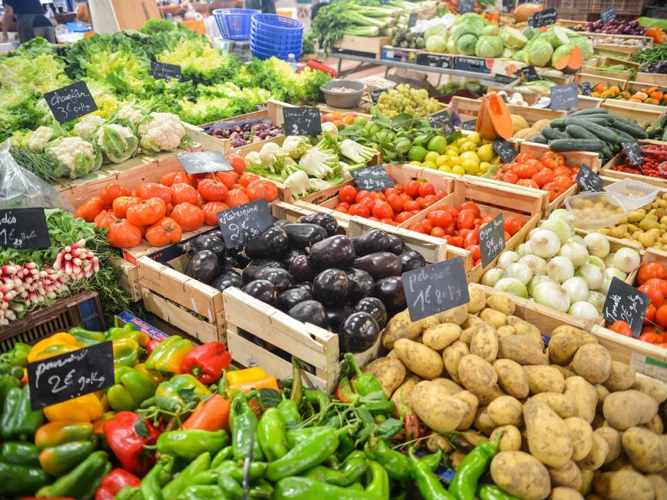 日常生活で必須の単語集！オランダ生活で知っておきたい野菜の名前１４選