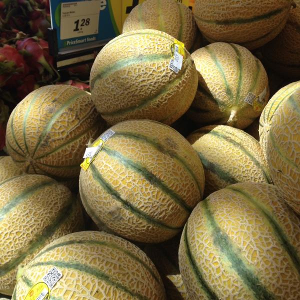 Tuscan Melon（トスカナメロン）