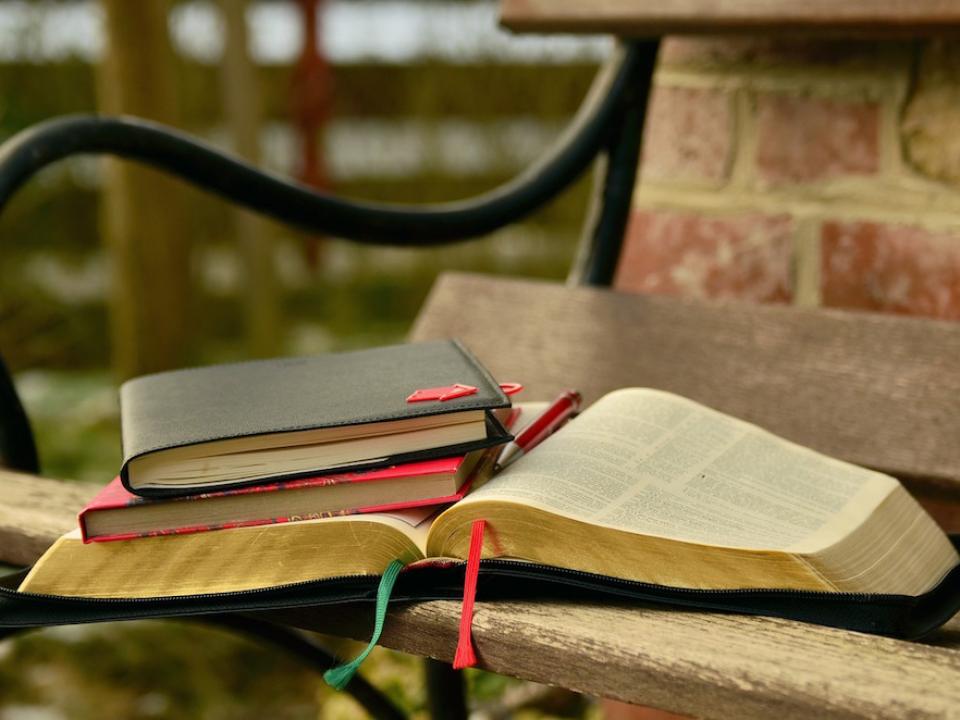 読書、勉強からDVDのレンタルまで！ロンドンの図書館の利用方法