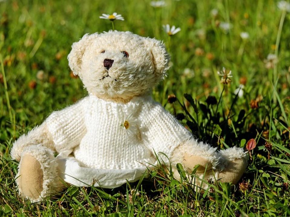 「bear=クマ」だけじゃない!意外と知らない多義語「bear」の意味8選