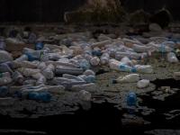 なぜ企業はプラスチックストローの使用を廃止する？世界のプラスチックごみに関する１０の真実