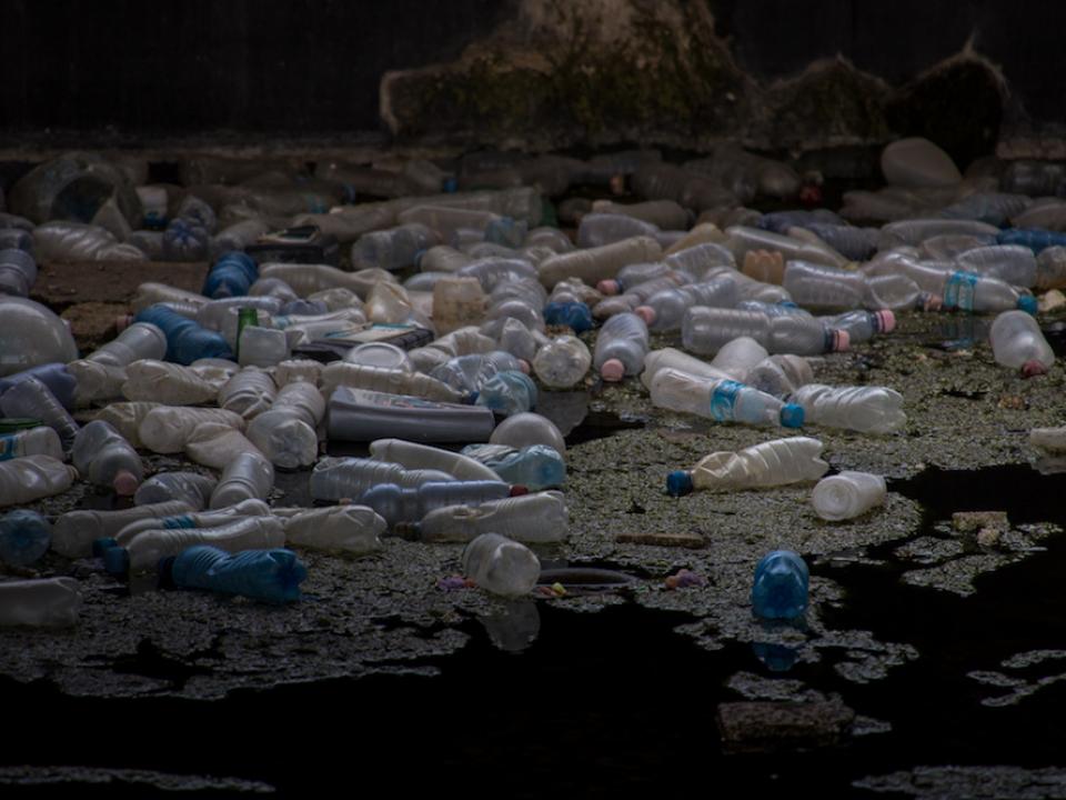 なぜ企業はプラスチックストローの使用を廃止する？世界のプラスチックごみに関する１０の真実