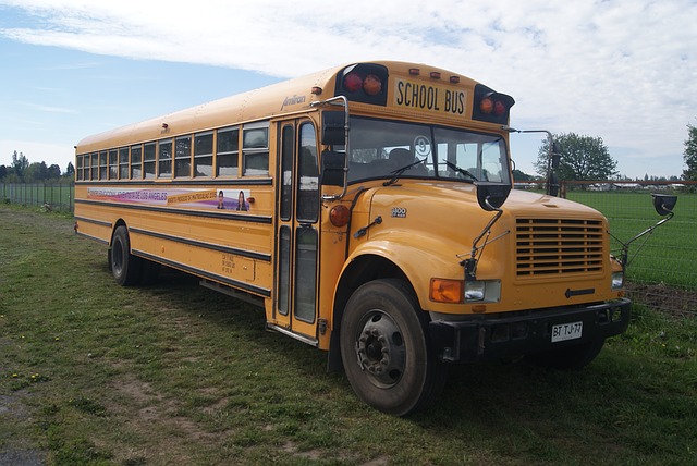 カナダのスクールバスの写真