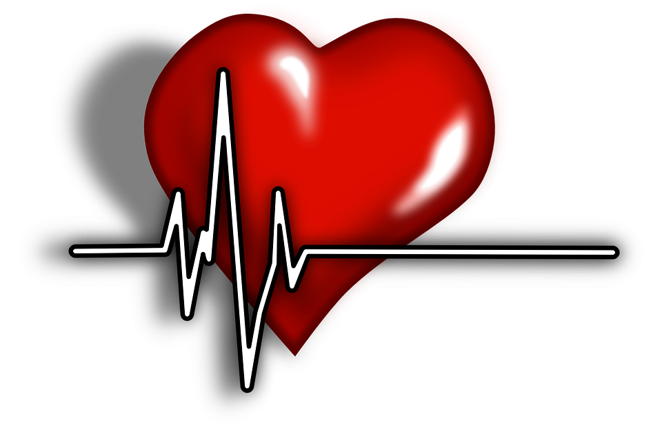心臓はオランダ語で何という？体の器官に関するオランダ語８選